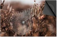Dietrix Inductie Beschermer - 81x52cm - Herfst - Spinnenweb ochtenddauw
