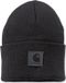 Carhartt BLACK LABEL WATCH HAT - Beanie