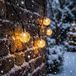 esotec Guirlande lumineuse Solaire BubbleBalls avec 30 LED blanc chaud 102176