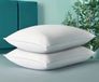 Noblesse Oreiller-Coussin de sommeil Convient aux dormeurs sur le dos, sur le côté et sur le ventre - Anti-allergie -Antibactérien - Anti-acariens -60x70 cm-Set de 2 pièces
