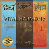 Sonic Rendezvous Yuval Ron - Vital Harmony: Sound Healing Of The Doshas (CD)