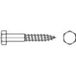 TOOLCRAFT 109144 Boulon à tête hexagonale 5 mm 20 mm Hexagonal extérieur DIN 571 Acier Galvanisé 100 pièce(s)