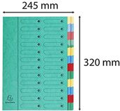 Exacompta 5124E premium archiefmap van extra sterk Colorspan karton DIN A4 24 full-color kleurrijke vakken met organisatieprint en elastische rug ringband registermap groen