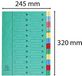 Exacompta 5124E premium archiefmap van extra sterk Colorspan karton DIN A4 24 full-color kleurrijke vakken met organisatieprint en elastische rug ringband registermap groen