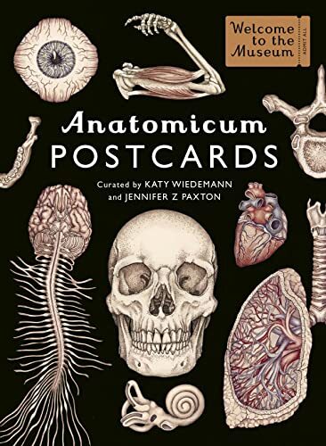 Big Picture Press Anatomicum Postcard Box