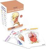 Kaplan Anatomy Flashcards