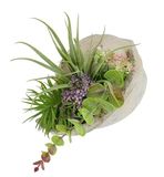 Flair Flower Kunstarrangement voor vetplanten, agave aloë vera yucca Sanseveria plant, cactus, kunstmos, cactus, groene plant, kamerplant, tafelplant, kunstbloem in schelpschaal