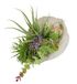Flair Flower Kunstarrangement voor vetplanten, agave aloë vera yucca Sanseveria plant, cactus, kunstmos, cactus, groene plant, kamerplant, tafelplant, kunstbloem in schelpschaal