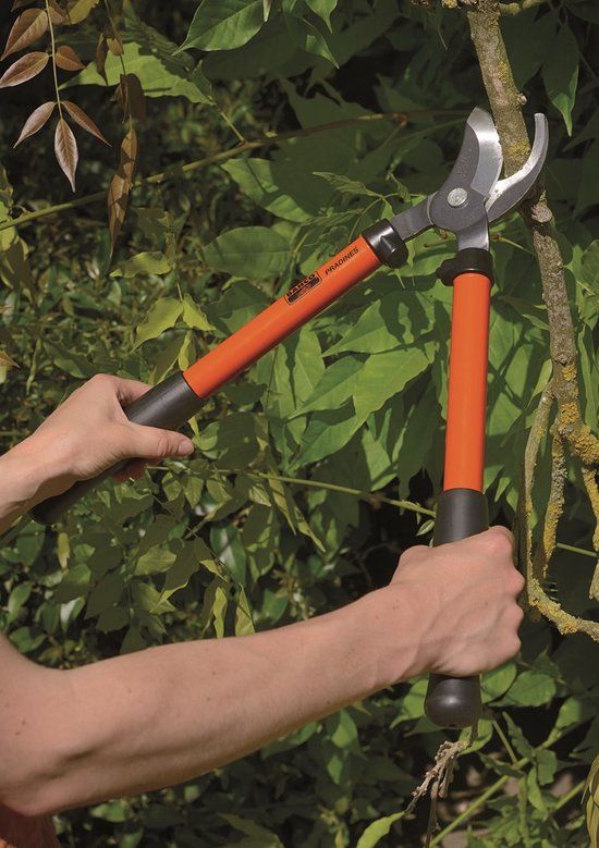 Bahco Takkenschaar Traditioneel 600 mm P140-F | Papegaaienbek