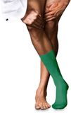 FALKE No. 10 Pure Fil d´Écosse eenkleurig katoen sokken heren groen - maat 45-46