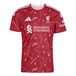 ADIDAS PERFORMANCE Tricot 'FC Liverpool 26/27 Authentic' bourgogne / wit