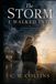 The Storm I Walked Into: Domestic Erasure, Survival, and Finding My Way back