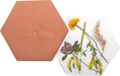 Esschert Design magnetron bloemen/bladeren/kruidenpers - terracotta - 19.5 x 17 x 3.5 cm