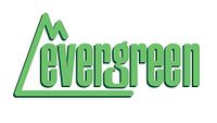 Evergreen 14067 structuurplaat, spoor-O-schaal, 300 x 600 x 1 mm, 1 stuk