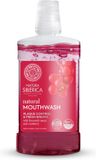 Natura Siberica Bain de bouche contrôle de la plaque et haleine fraîche 520 ml