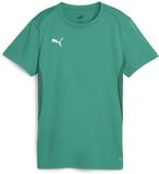 Puma Teamgoal Jersey Wmn L