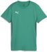 Puma Teamgoal Jersey Wmn L