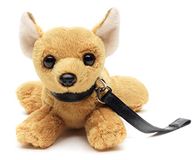 Uni-Toys Chihuahua pluche dier (met riem) - 20 cm