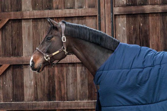 Kentucky Horsewear Classic Paarden Onderdeken 300gr - Donkerblauw - 125