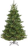 Everlands Alba fir - kunstkerstboom met verlichting groen 2,1m x 1,27m