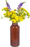 Bela Arte Bloemenvaas Milan - transparant bruin glas - 15 x 35 cm