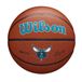 Wilson NBA Team Alliance Charlotte Hornets Basketbal Bal Bruin 7