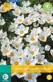 jub Crocus Ard Schenk bloembollen 15 bollen Krokus JUB