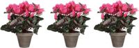 Shoppartners Mica Decorations Roze cyclaam kunstplant en met bloemen 30 cm in grijze pot - Voordeelset van 4x stuks