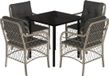 vidaXL 5-delige Tuinset met Kussens Poly Rattan Lichtgrijs