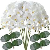 FagusHome Kunstmatige Phalaenopsis-bloemen, 81 cm, 6 stuks met 4 bundels, bladeren, kunstmatige orchideebloemen, stengelplanten voor huisdecoratie (6 stuks)