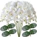 FagusHome Kunstmatige Phalaenopsis-bloemen, 81 cm, 6 stuks met 4 bundels, bladeren, kunstmatige orchideebloemen, stengelplanten voor huisdecoratie (6 stuks)