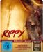Alive Ag Rippy - Das Killerkänguru - 2-Disc Limited Collector's SteelBook (UHD-Blu-ray + Blu-ray)