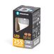 Blendend LED G45 E27 3W 3000K