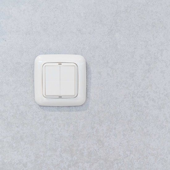 SHELLY WALL SWITCH ADAPTER - BUSCH-JAEGER