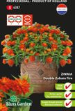 Sluis Garden Zinnia Zahara Fire double