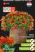 Sluis Garden Zinnia Zahara Fire double