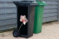 StickerSnake Container sticker Orchidee - Bloemen - Zwart - Roze - Knoppen - 44x98 cm - Kliko sticker