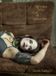 Subrosa Kehrer Verlag Subrosa and the Cult of Aphrodite