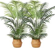 OEM Kazeila Kunstpalmen Groot 120cm (2-PACK)