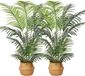 OEM Kazeila Kunstpalmen Groot 120cm (2-PACK)