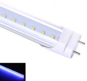 Merkloos TL LED Buis UV Blacklight - 9 Watt - 60 cm