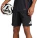 Adidas Ajax Amsterdam Tiro 25 Competition Training Short Heren - Maat S