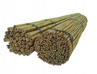Dixiestore Bamboestokken 150 cm - 10 stuks, 24/26 mm dik