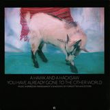 Konkurrent A Hawk And A Hacksaw You Have Already Gone To The Other World (2 LP)