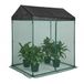 Relaxdays plantenhoes met deur en dak, insectennet, H x B x D: 150 x 130 x 90 cm, groen