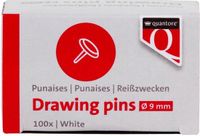 Quantore Punaises 100 stuks wit