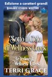 Sotto Wellness Creek Sotto il Cielo di Wellness Creek: Edizione a caratteri grandi