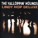Lindy Hop Deluxe