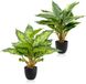 Unyqoos® Set van Twee Realistische Kunstplanten in Pot voor Diverse Binnenruimtes