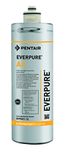 Everpure EV960112 waterfilterpatroon met actieve kool